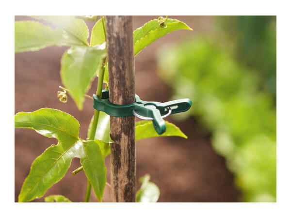 Parkside Planting Accessories Assortment