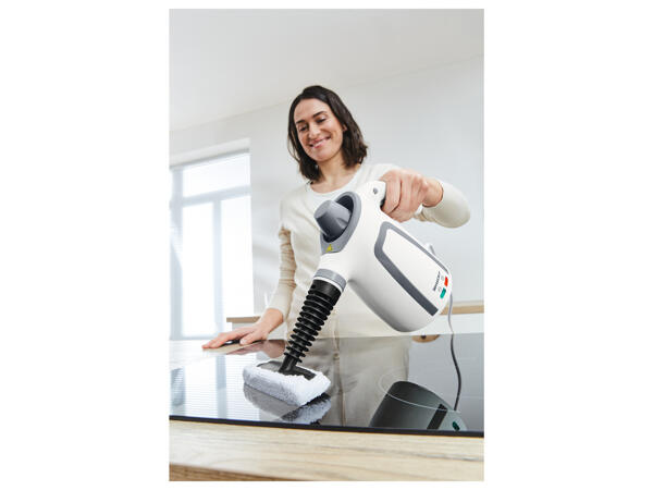 Handheld Steam Cleaner