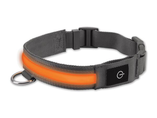 LED-Hundehalsband/Leuchtband