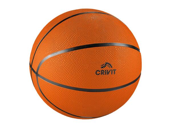 CRIVIT Basketball
