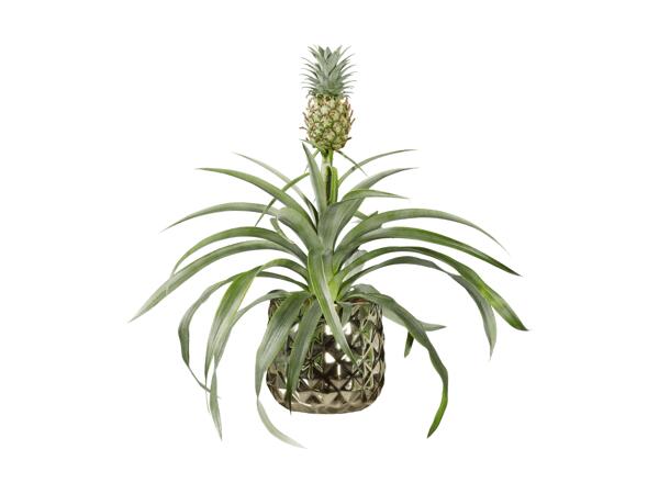 Décoration ananas en céramique royale