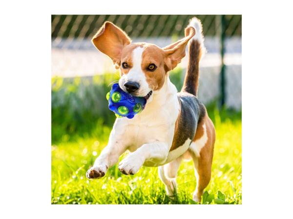 Nerf Dog LED Bubble Toys - Squeak Bubble Ball