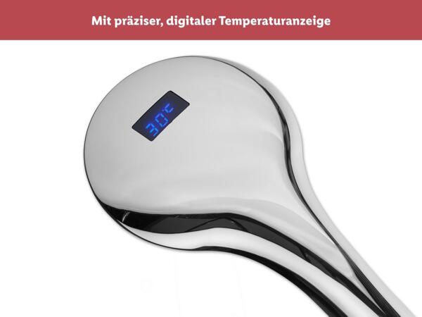 Handbrause mit Temperaturanzeige