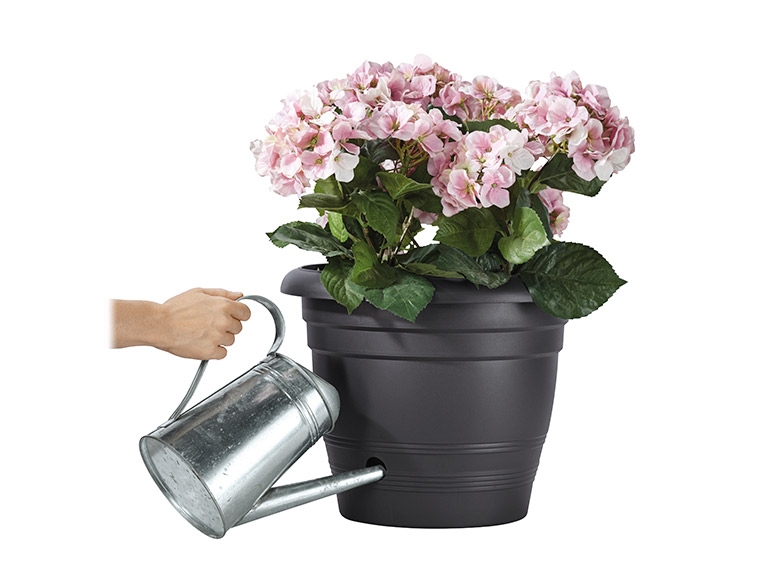 FLORABEST Self-Watering Plant Pot