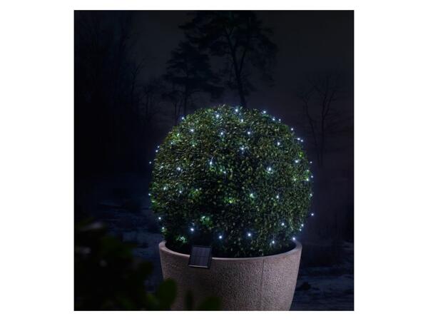 LED solar fairy lights