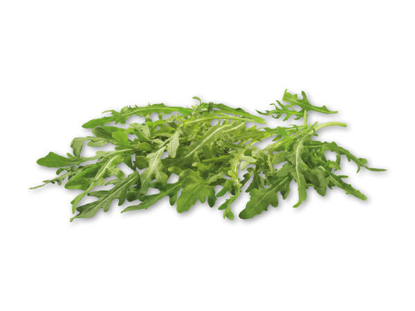 Rucola