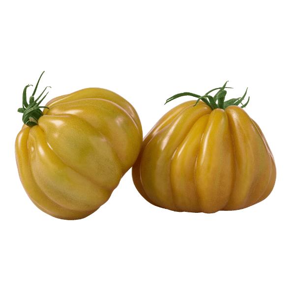 Tomaten 'Cœur de Bœuf', 2 St.