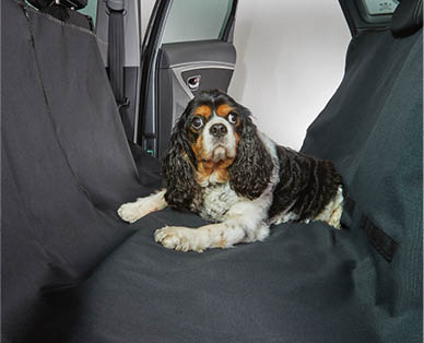 Pet Seat Cover