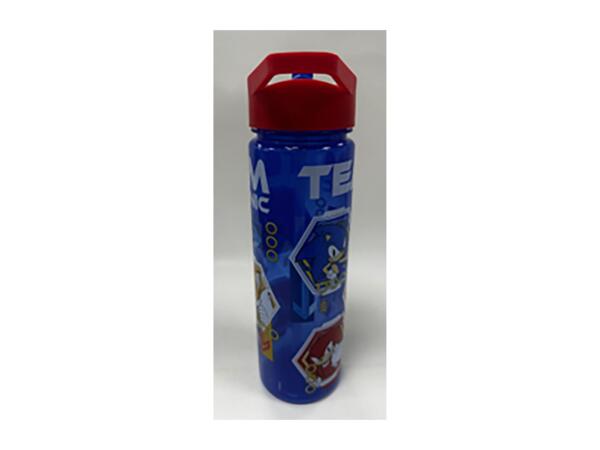 600ml Character Water Bottle - Sonic