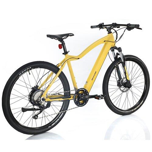 ALLEGRO Invisible E-MTB AXIM°03 19", Corn