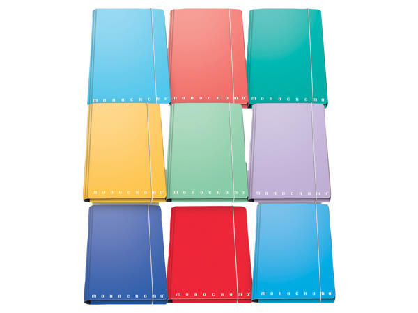 Three Flap File