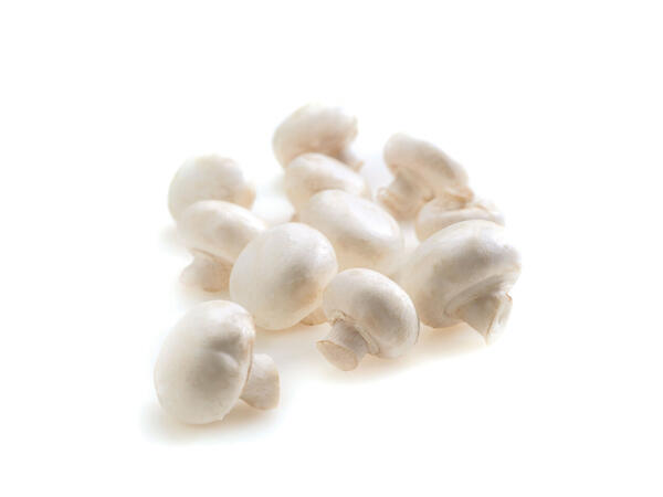 Champignons XXL