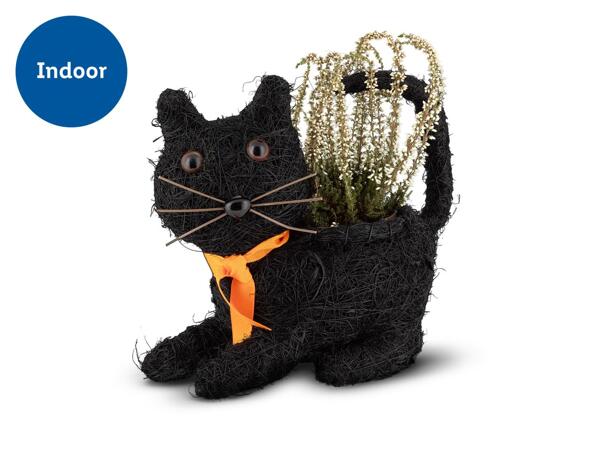 Halloween Novelty Planters