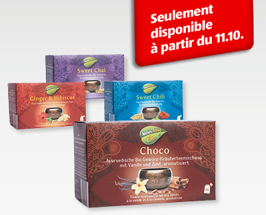 Thé bio ayurvédique NATURE ACTIVE BIO