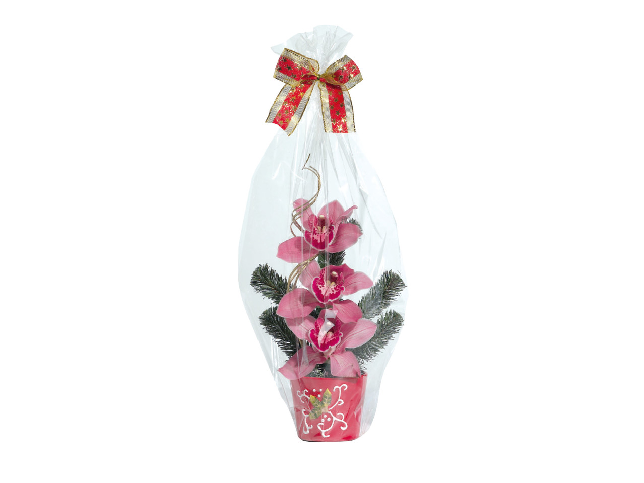 Mother's Day Tiered Orchid