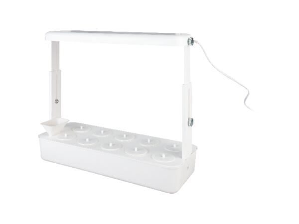 Odlingssystem med LED-belysning