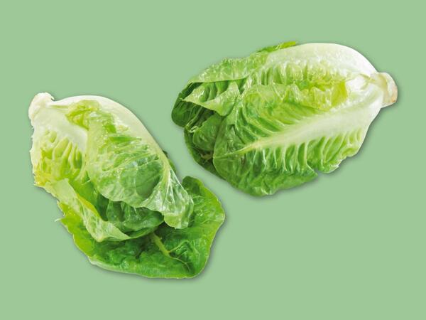 Økologisk dansk hjertesalat