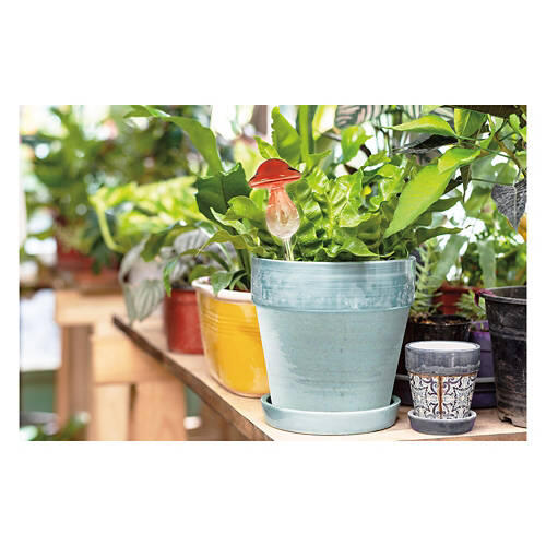 Mushroom Shaped Self Watering Globes