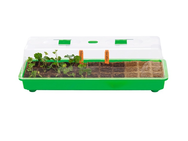 Mini Greenhouse for Indoor Use, 10 pieces