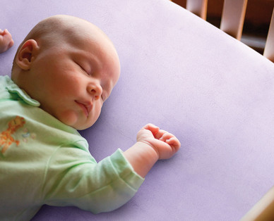 Little Journey Plush Fitted Crib Sheet
