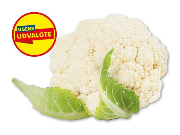 Dansk blomkål