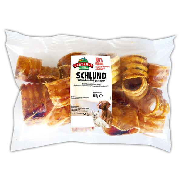 Schlund