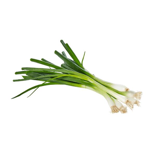 Forårsløg