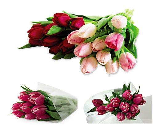 10-Stem Tulip Bouquet Assorted Colors