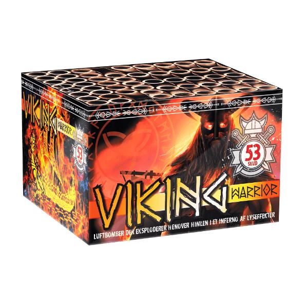 Viking Warrior