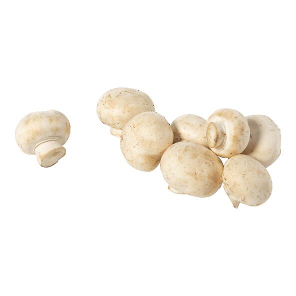 Feine Champignons