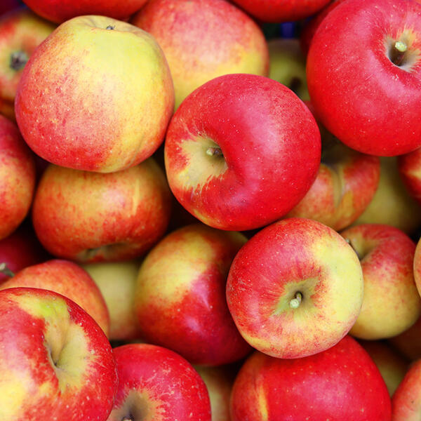 Äpfel