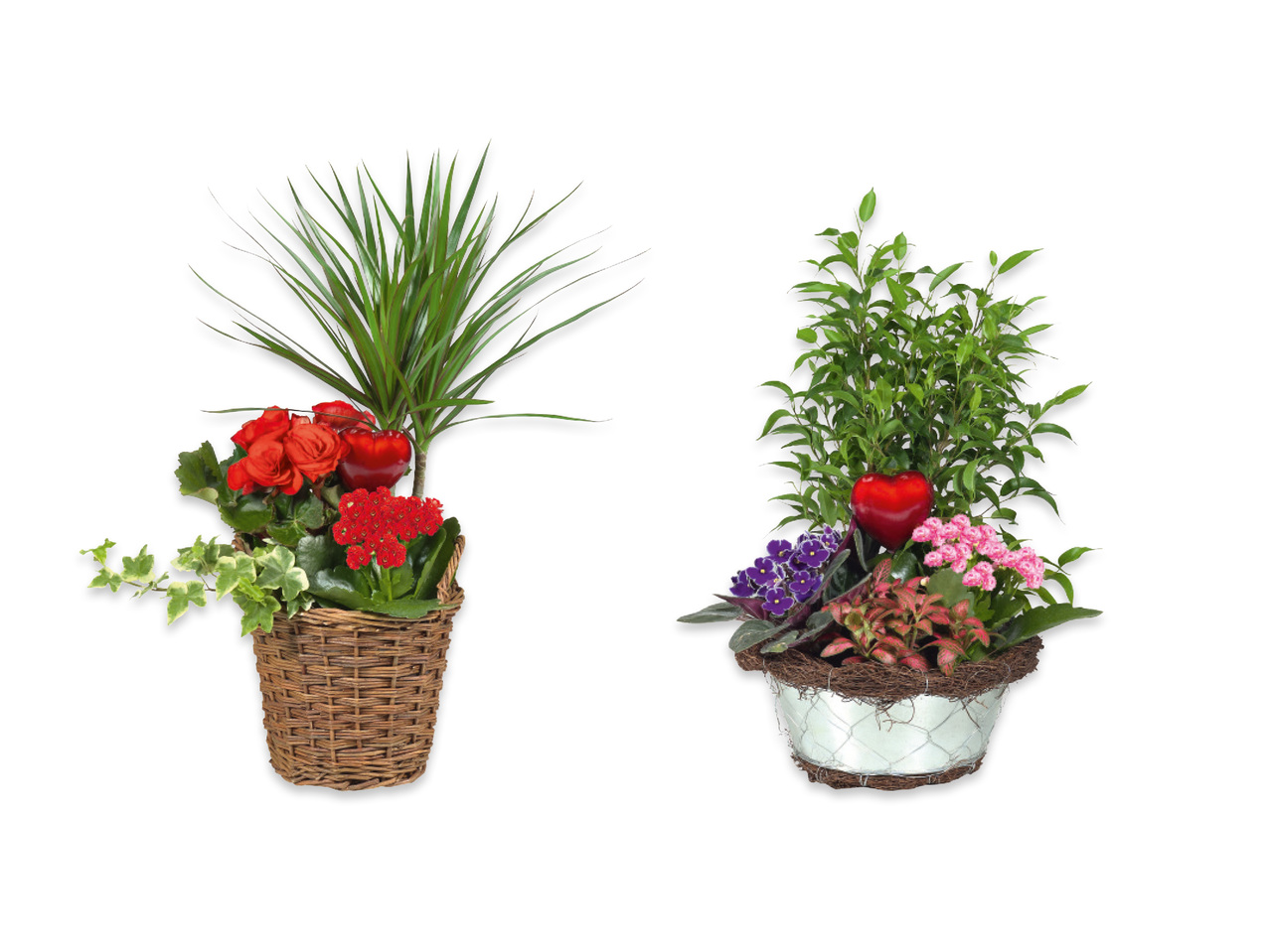 Blomgrupp