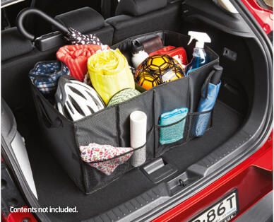 Folding Trunk Organiser