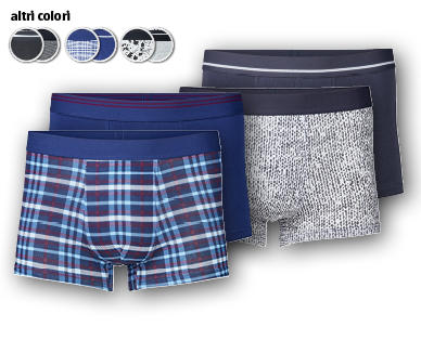 ROYAL CLASS CASUAL Boxer rétro