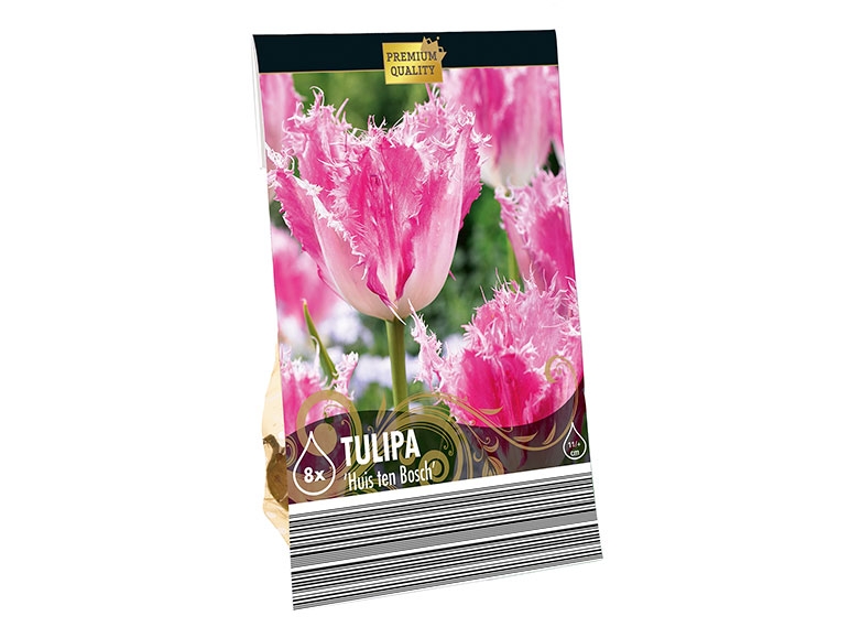 Premium Tulip & Daffodil Bulbs