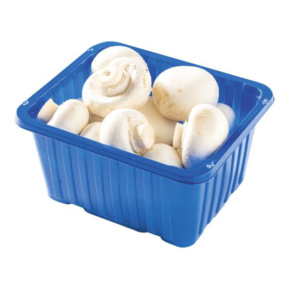 Fijne champignons