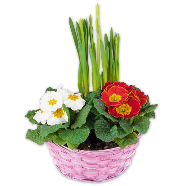 Bunter Frühlingskorb
