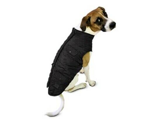 Heart to Tail 
 Pet Barn Coat