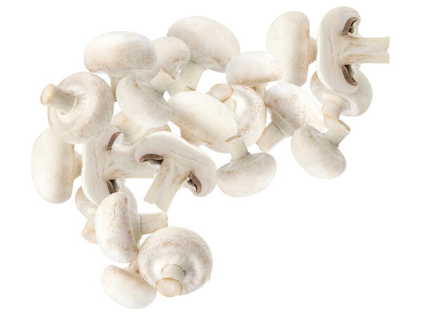 Champignons weiß