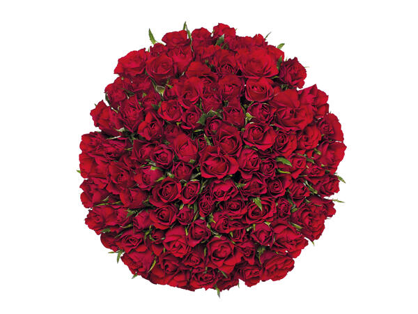 100 Red Roses