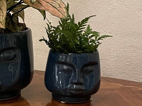 Grøn miniplante i ansigtskeramik