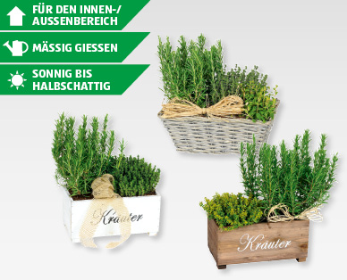 Kräuterkisten und Körbe
