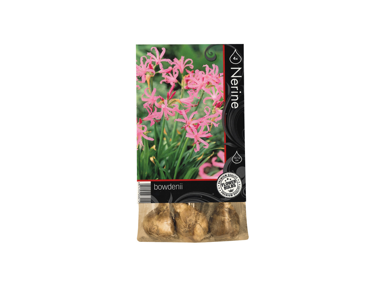 Efterårsblomsterløg premium