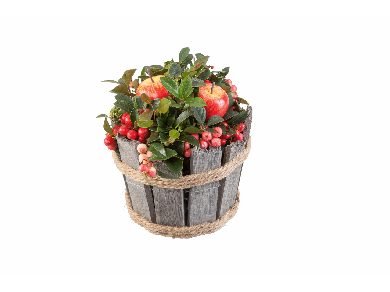 Gaulthérie dans un pot en bois