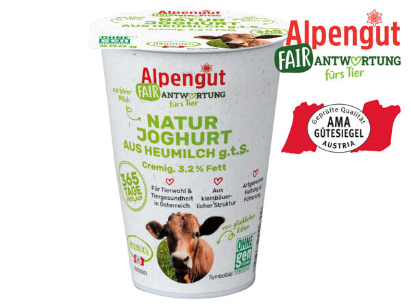 Heumilch Naturjoghurt