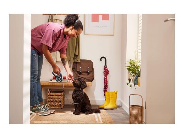 Zoofari Retractable Dog Lead
