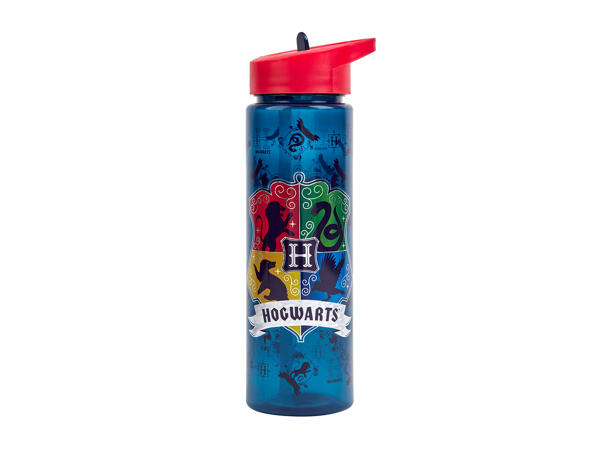 Character Water Bottle