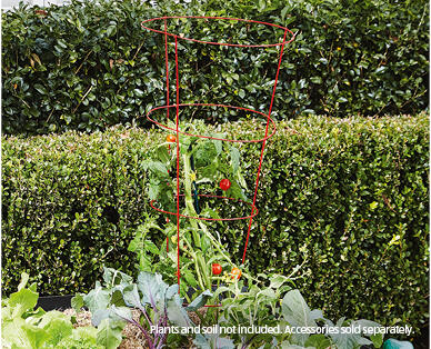 Tomato Cage