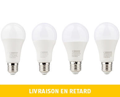 LIGHTWAY 
 AMPOULE LED, LUMINOSITÉ RÉGLABLE