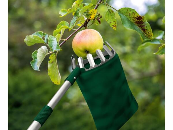 Telescopic fruit picker